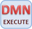 DMN-Execute